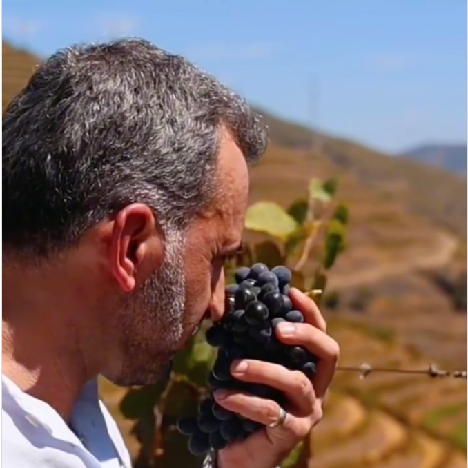 Emanuel's Quest For The 27-Liter Bottle of Wine